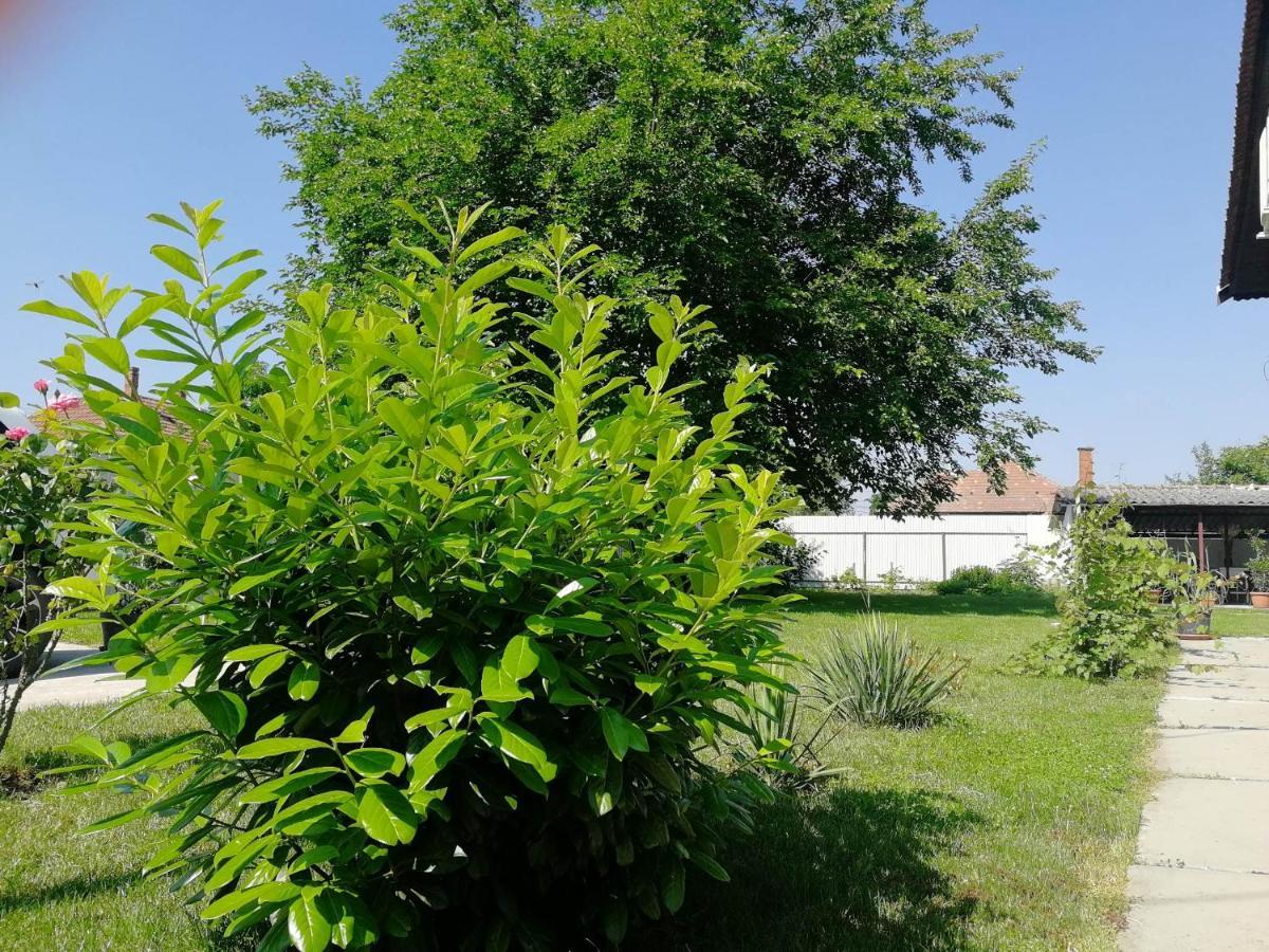 Zsuzsanna Vendeghaz Hotel Gyomaendrőd Exterior foto